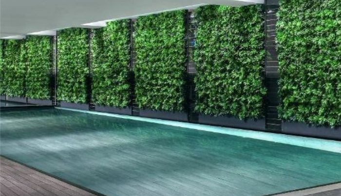  Staycation 打卡_酒店泳池_浴缸酒店